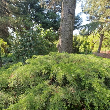 Panorámás botanikus kert a Római úton – Alsóörs titkos kincse