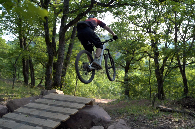 Fahrradpark im Wald