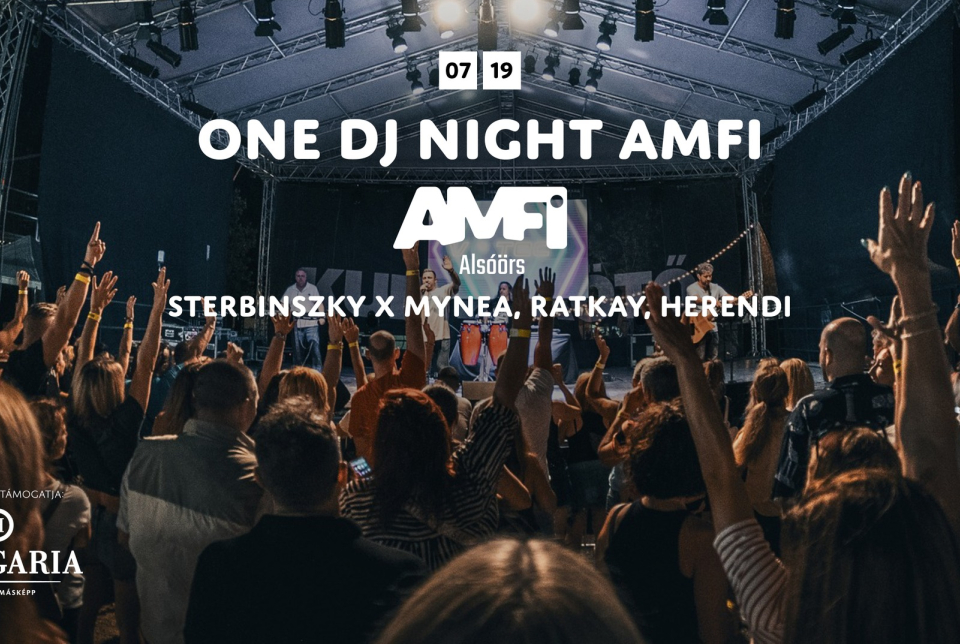 ONE DJ NIGHT AMFI
