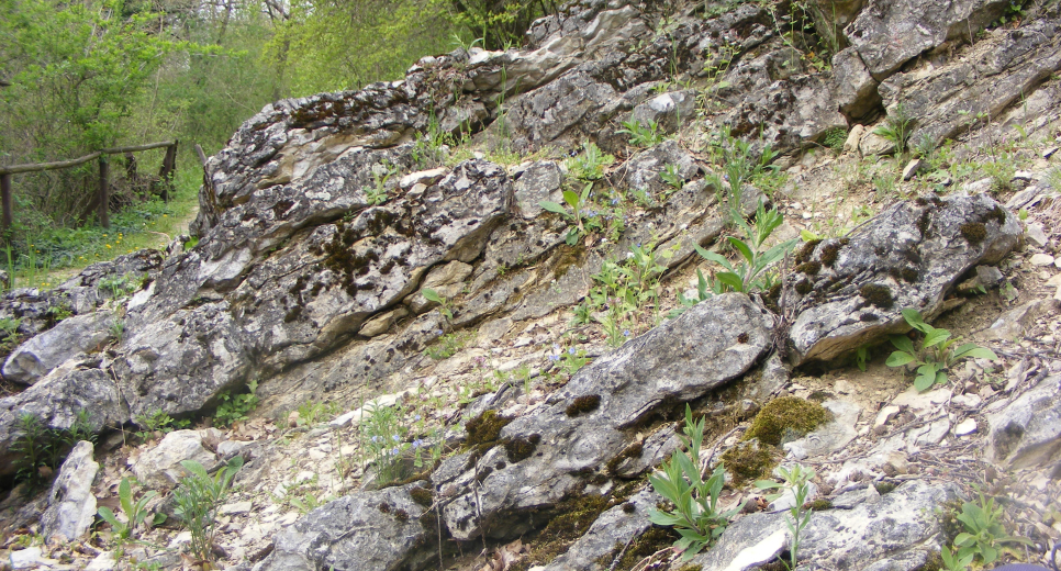 Felsőörs, Forrás-hill