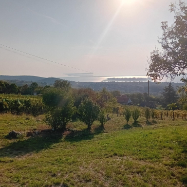 Lovasi borkaland