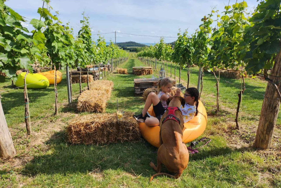 Kutyagoló: Balatoni túra és piknik