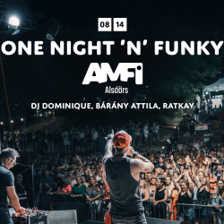 ONE NIGHT ’N’ FUNKY