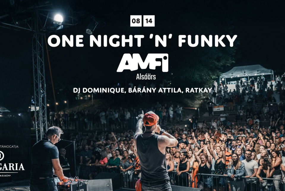 ONE NIGHT ’N’ FUNKY