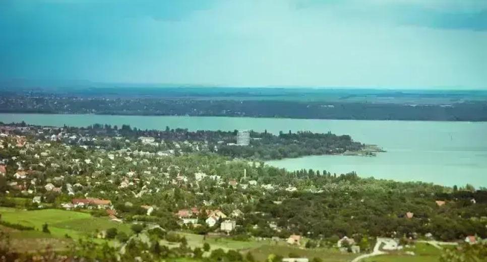 Természetjárás