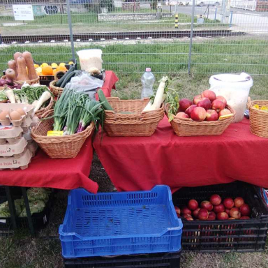 Termelői piac