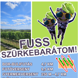 Fuss Szürkebarátom!