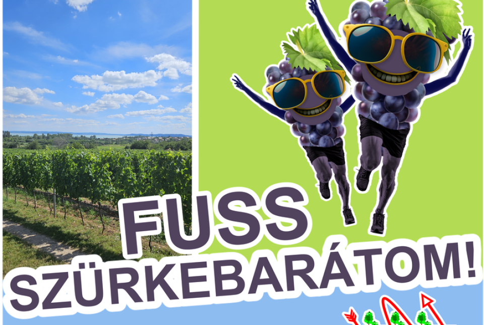 Fuss Szürkebarátom!