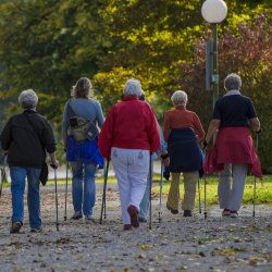 Senior Nordic Walking