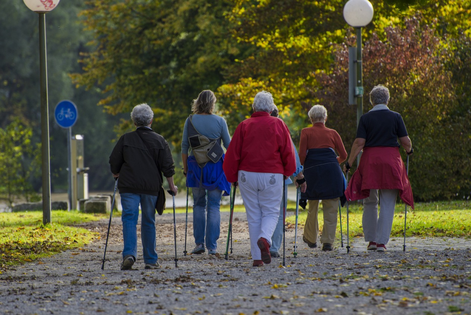 Senior Nordic Walking