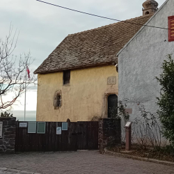 Kiállítás megnyitó