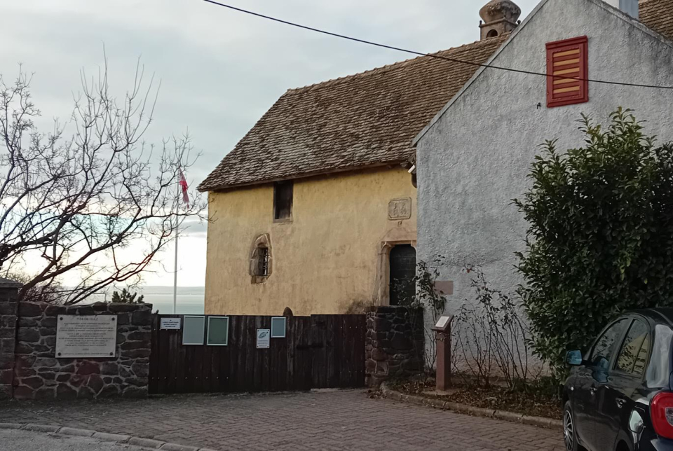 Kiállítás megnyitó