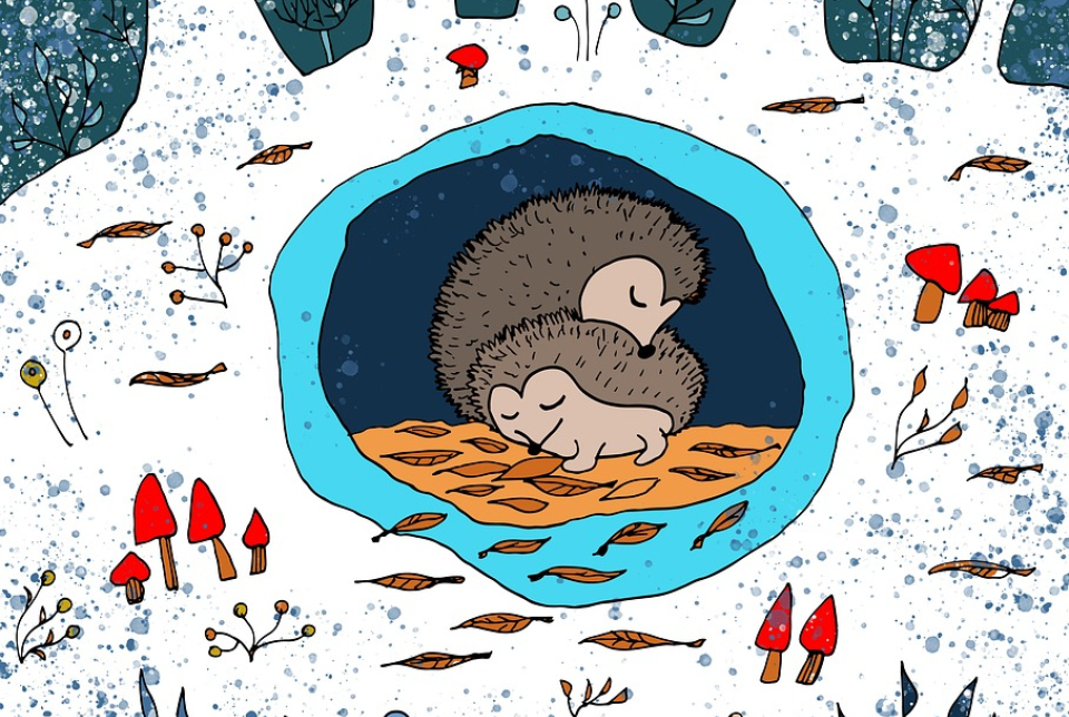 XI. Országos Rajzfilmünnep