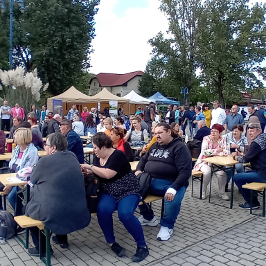 Szüreti Mulatság Alsóörsön!