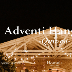 Adventi hangolódó - Boros Quiz Est