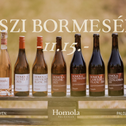 Őszi bormesék a szőlőben