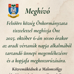 Ünnepi megemlékezés