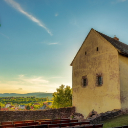 Kiállítás megnyitó