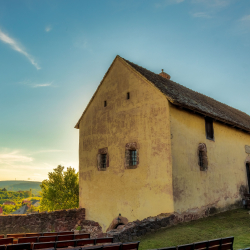 Kiállítás megnyitó