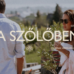 Homola Pincészet - ÉVADNYITÓ DJ A SZŐLŐBEN