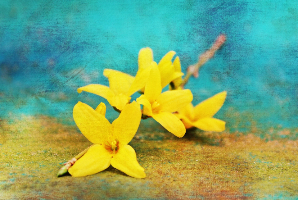 Testvértelepülési találkozó