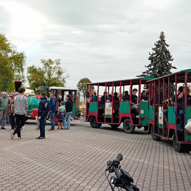 Szüreti Mulatság Alsóörsön!
