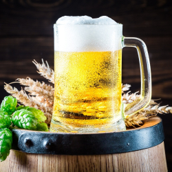 III. Paloznaki Sörverseny – A Monarchia mesterművei