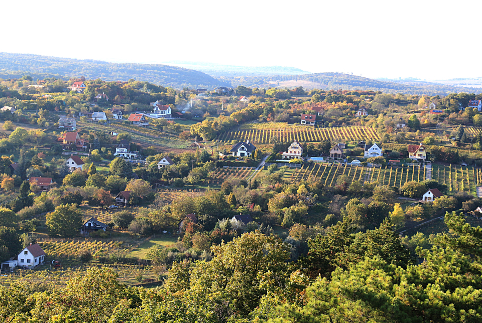Felsőörsi Borkaland