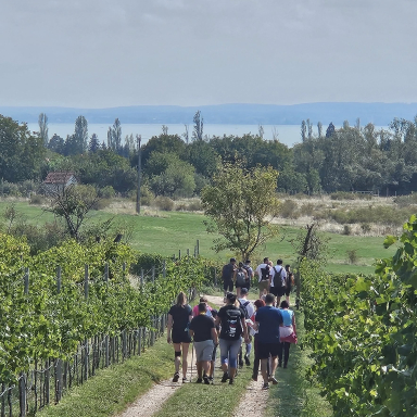 Őszi Nyitott Pincék Teljesítménytúra 2025.