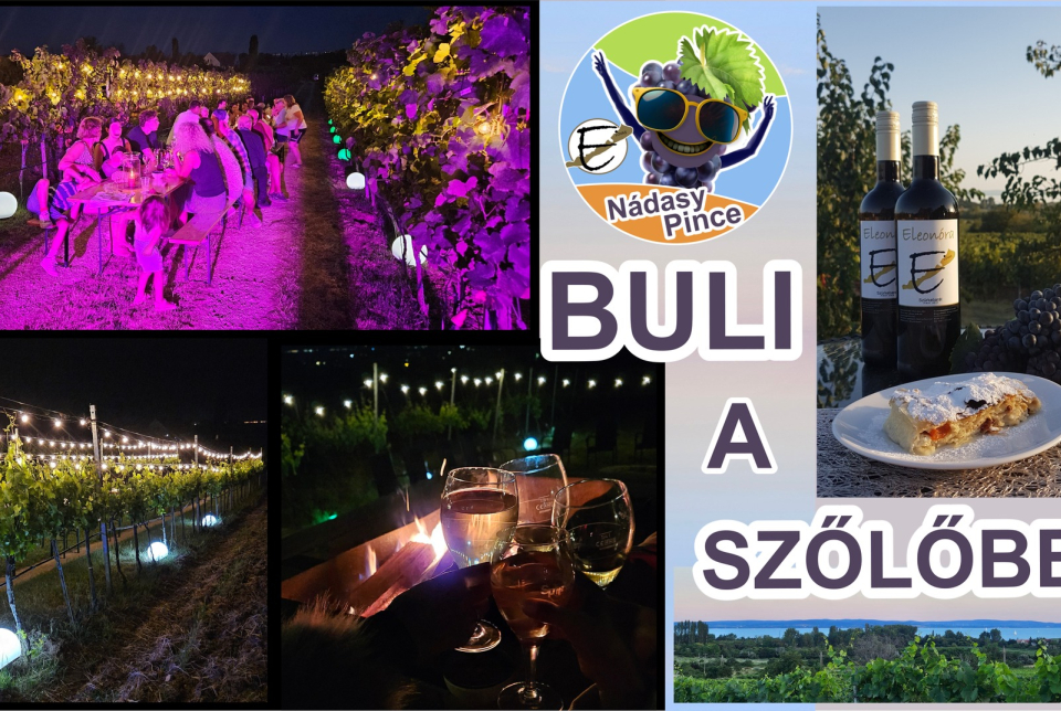 Buli a szőlőben!