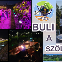 Buli a szőlőben