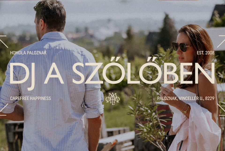 DJ a szőlőben