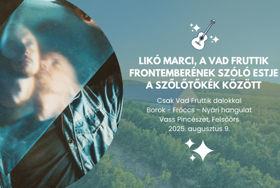 Likó Marci, a Vad Fruttik frontemberének szóló estje a szőlőtőkék között a Vass Pincészetben