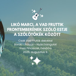 Likó Marci, a Vad Fruttik frontemberének szóló estje a szőlőtőkék között a Vass Pincészetben
