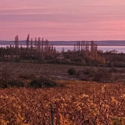 Forraltbor-Túra és buli