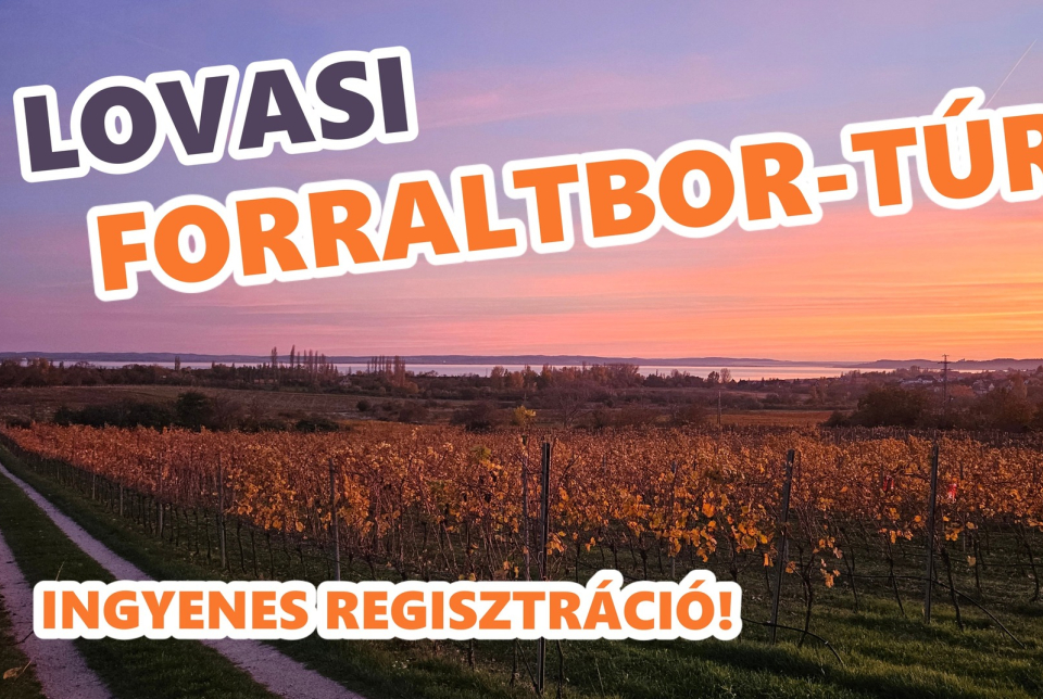 Forraltbor-Túra és buli