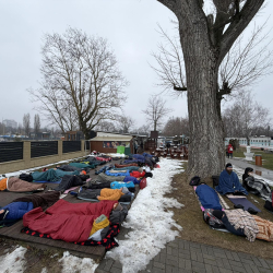 Mártózz a Jegesmedvékkel a Télűző forgatagon