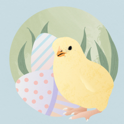 Hova lettek a tojások?