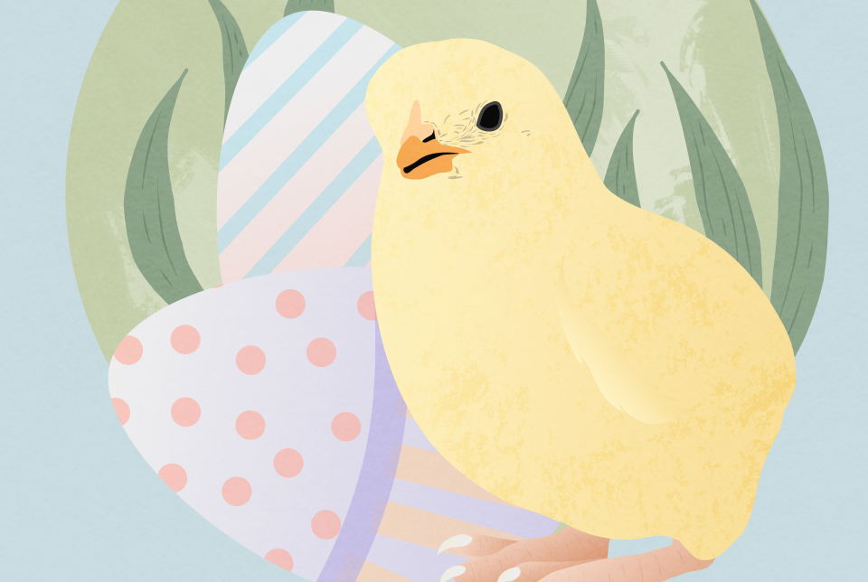 Hova lettek a tojások?