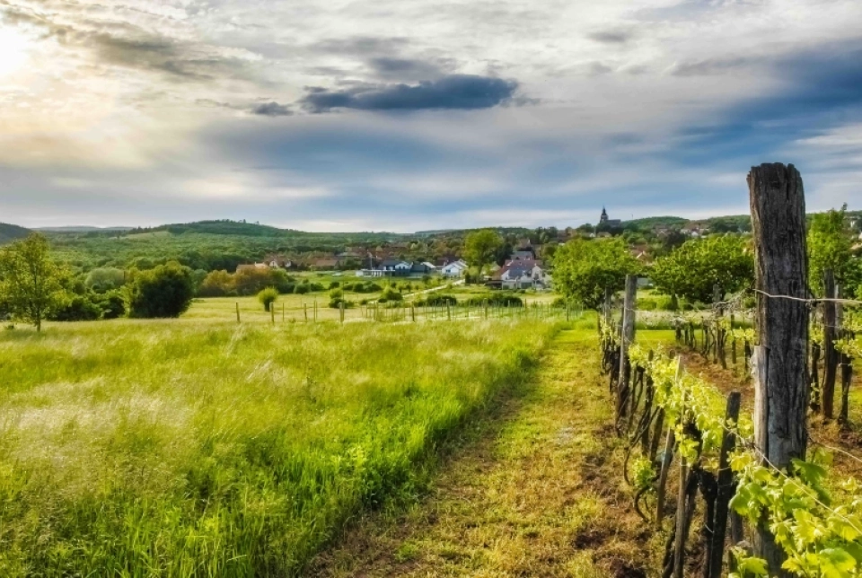 Felsőörsi Borkaland