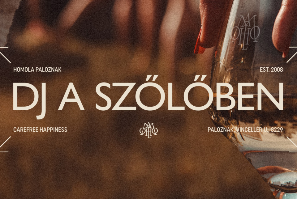 DJ a szőlőben - Évadzáró Santa party