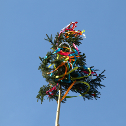 Májsufa állítás Lovason