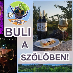 Buli a szőlőben!