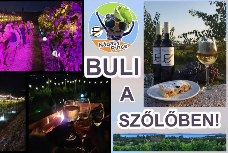 Buli a szőlőben!