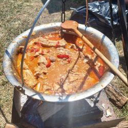 Alsóörsi Színes Csokor - Falunk Napja