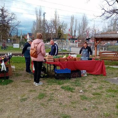 Termelői piac